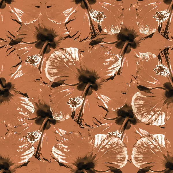 Ίβισκος Λουλούδια Κολάζ Απρόσκοπτη μοτίβο — Φωτογραφία Αρχείου