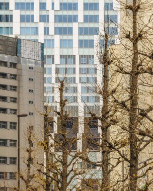 Shibuya Bölgesi Mimari, Tokyo, Japonya