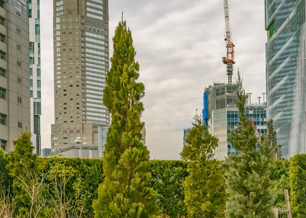 Leafy Urban Scene, Shibuya District, Tokio, Japan — Stockfoto