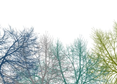 Çoklu Renkli Grafik Siluet Botanik Arkaplan