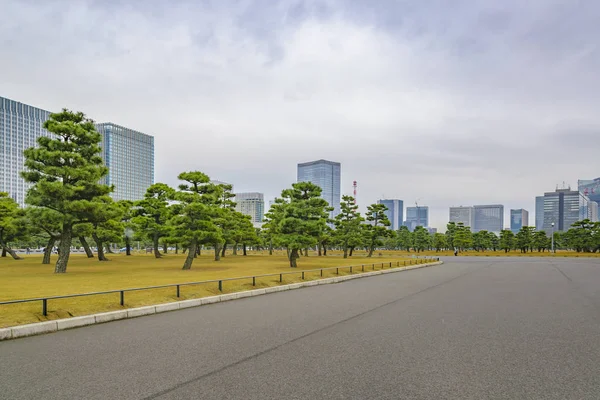 Keisarillisen Puutarhan Ulkopuisto Modernit Rakennukset Taustalla Chiyodan Alueella Tokiossa Japanissa — kuvapankkivalokuva