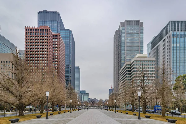 Tokyo Giappone Gennaio 2019 Scena Paesaggio Urbano Nel Distretto Chiyoda — Foto Stock