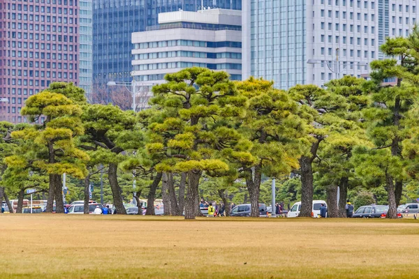 Cesarski Ogród Zewnętrzny Park Nowoczesne Budynki Tle Dzielnicy Chiyoda Tokio — Zdjęcie stockowe