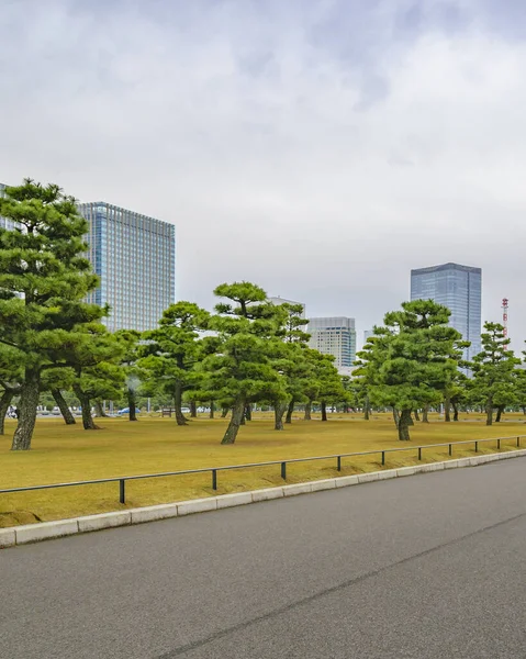 Jardim Imperial Parque Exterior Edifícios Modernos Fundo Distrito Chiyoda Cidade — Fotografia de Stock