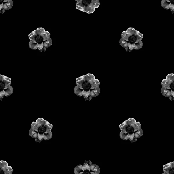 Digitale Fotocollage Und Manipulationstechnik Blumenmotiv Collage Motiv Nahtloses Mustermosaik Dunklen — Stockfoto