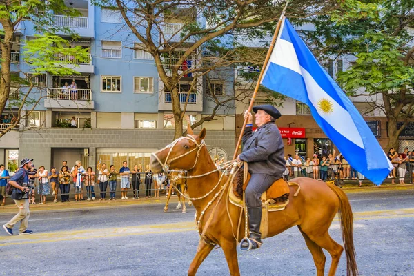 Montevideo Uruguay Março 2020 País Argentino Sênior Cavalo Desfile Suposições — Fotografia de Stock