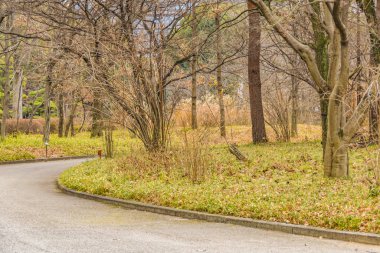 Japonya 'nın Tokyo şehrindeki Chiyoda bölgesinde bulunan İmparatorluk Sarayı iç bahçe manzarası
