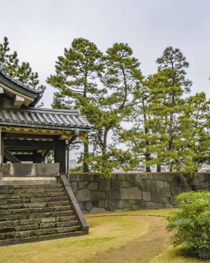 Tokyo, Japonya, Ocak 2019 - Japonya 'nın Chiyoda şehrinde bulunan İmparatorluk Sarayı dış bahçe manzarası