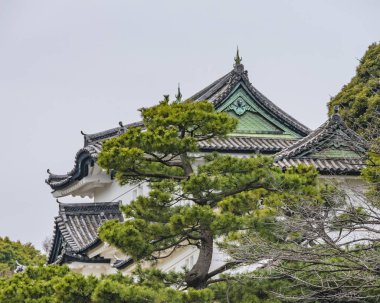 TOKYO, JAPONYAN, JANUARY - 2019 - Japonya 'nın Tokyo şehrindeki Chiyoda bölgesinde bulunan İmparatorluk Sarayı iç bahçe manzarası