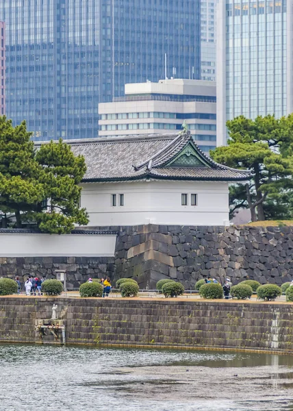 January 2019年1月 位于日本东京市千代田地区的皇宫内部花园景观 — 图库照片