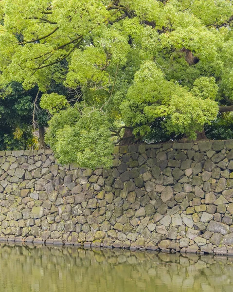 Tokyo Japon Janvier 2019 Mur Extérieur Palais Impérial Situé Dans — Photo