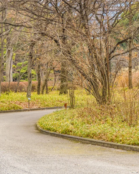 Tokyo Giappone Gennaio 2019 Palazzo Imperiale Giardino Interno Paesaggio Situato — Foto Stock