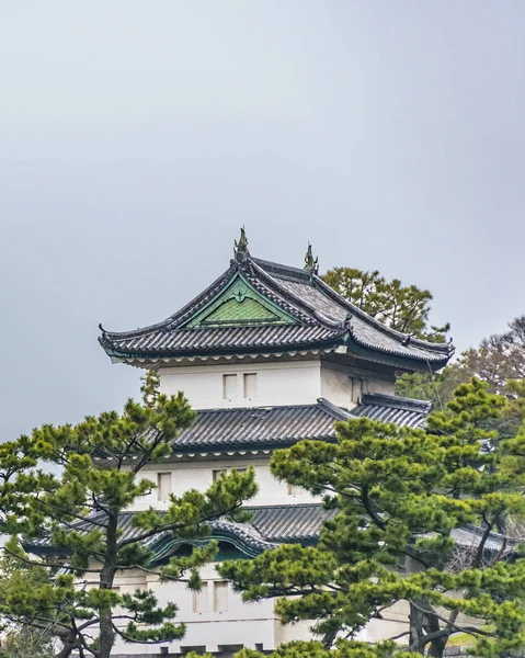 Tokyo Japan Styczeń 2019 Cesarski Pałac Wewnętrzny Krajobraz Ogrodowy Położony — Zdjęcie stockowe