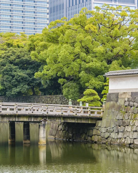 日本东京 2019年1月 位于日本东京千代田地区的皇宫外墙景观 — 图库照片
