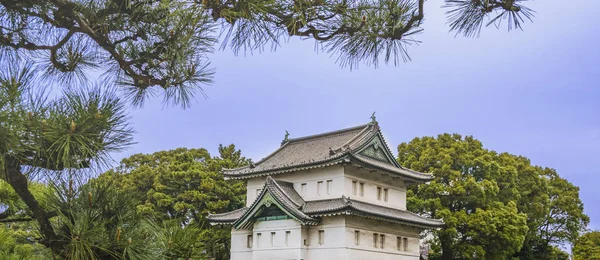Tokio Japón Enero 2019 Paisaje Del Jardín Interior Del Palacio —  Fotos de Stock