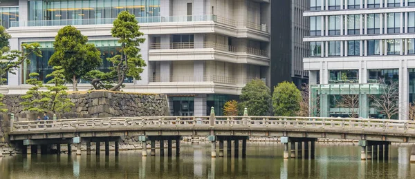 Tokyo Japan Tammikuu 2019 Keisarillisen Palatsin Sisäpuutarhan Maisema Sijaitsee Chiyodan — kuvapankkivalokuva