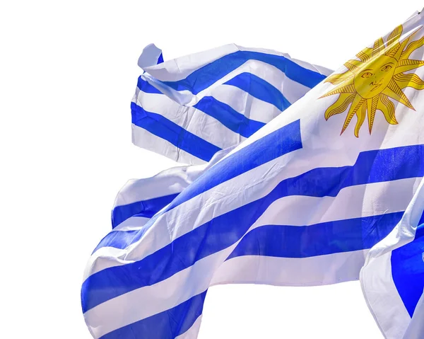 Uruguay Fahnen Schwenken Foto Isoliert Auf Weißem Hintergrund — Stockfoto