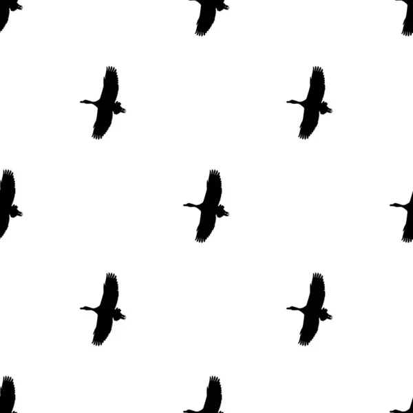 대화식 물갈퀴없는 실루엣 새들이 흰색의 무늬를 뽐내며 — 스톡 사진