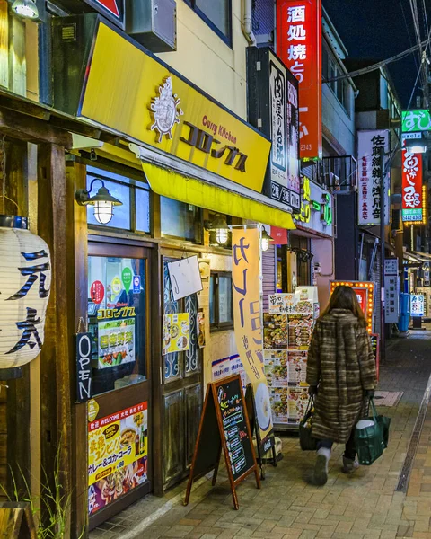 Tokyo Japon Janvier 2019 Scène Rue Hivernale Urbaine Nocturne Dans — Photo