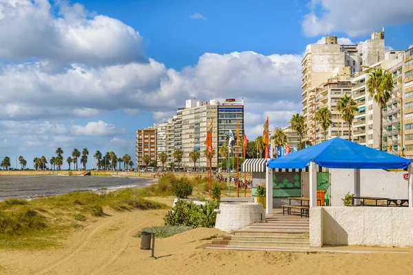 Montevideo Uruguay Mars 2020 Solig Stadsbild Scen Tom Pocitos Strand — Stockfoto