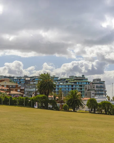 Montevideo Uruguay March 2020 Sunny Cityscape Scene Waterfront Park Pocitos — 스톡 사진