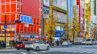 TOKYO, JAPONYAN, JANAURY - 2019 Tokyo 'nun ünlü Akihabara mahallesindeki şehir manzarası