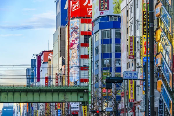 Tokyo Japón Enero 2019 Escena Urbana Famoso Barrio Akihabara Ciudad — Foto de Stock