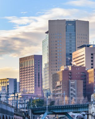 TOKYO, JAPONYAN, JANAURY - 2019 Tokyo 'nun ünlü Akihabara mahallesindeki şehir manzarası