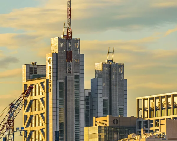 Tokyo Giappone Gennaio 2019 Scena Urbana Nel Famoso Quartiere Akihabara — Foto Stock