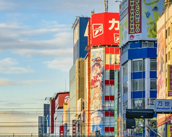 Tokyo Japón Enero 2019 Escena Urbana Famoso Barrio Akihabara Ciudad — Foto de Stock