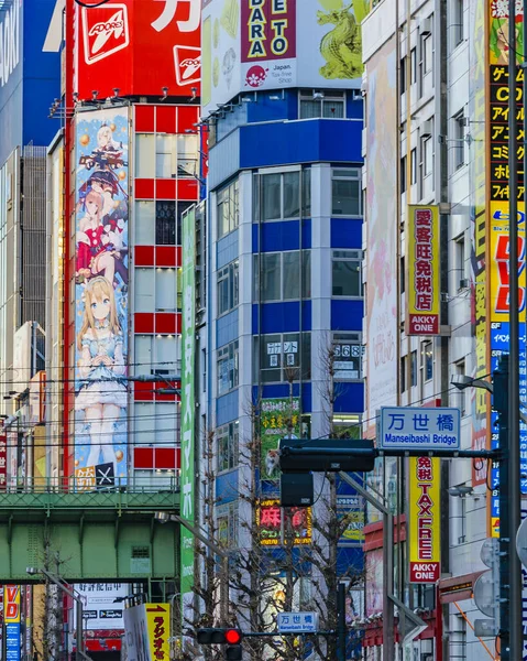 Tokyo Japon Janaury 2019 Scène Urbaine Dans Célèbre Quartier Akihabara — Photo