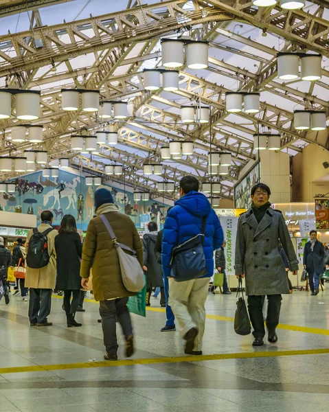 Tokyo Japan Janaury 2019 Fullsatt Tågstationshall Vid Akihabara Stadsdel Tokyo — Stockfoto