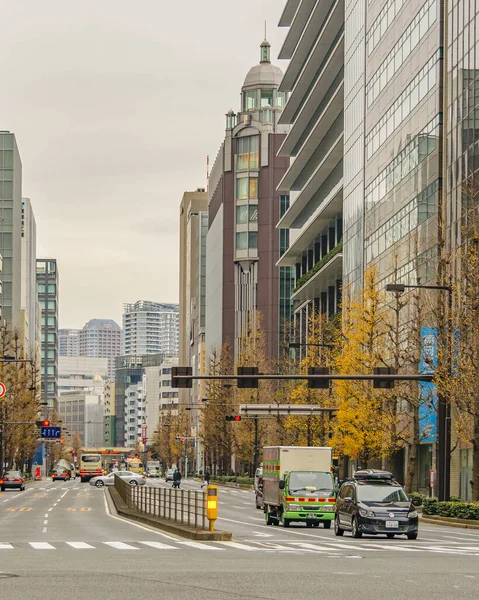 Tokyo Japão Janeiro 2019 Cena Urbana Rodovia Baixo Tráfego Distrito — Fotografia de Stock