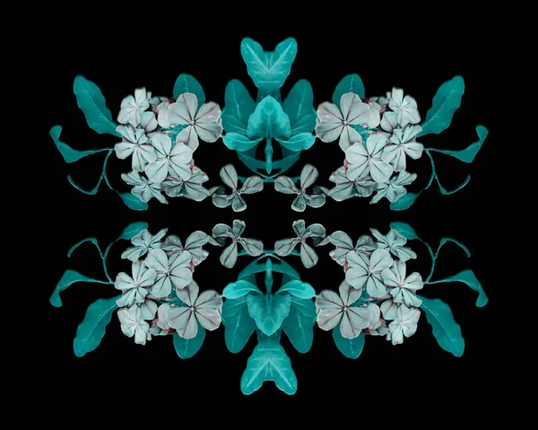 Digital Art Fantasy Floral Ornate Artwork Turquoise Colors Black Background — Stock Photo, Image