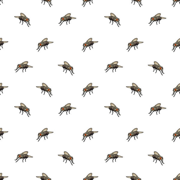 Разговорный бесшовный дизайн шаблона домашней мухи фото мотив на белом фоне
