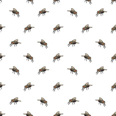 Beyaz arkaplan üzerinde konuşma desensiz ev sineği fotoğraf motifi tasarımı