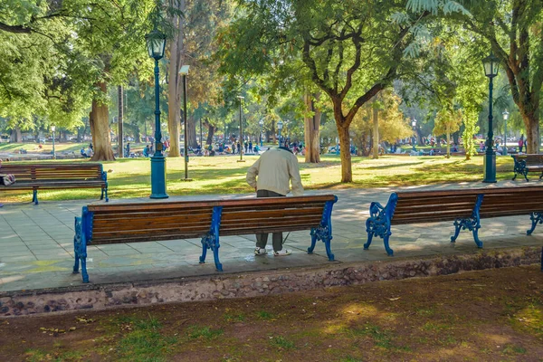 Мендоза Аргентина Апрель 2019 Солнечный Осенний Городской День Площади Карлос — стоковое фото