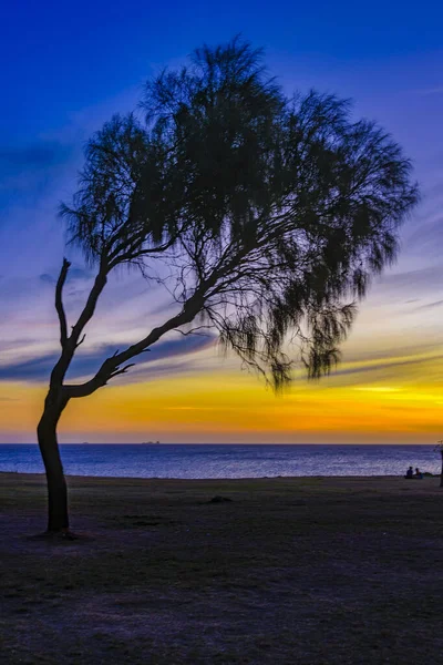 Drei Silhouette Und Meer Hintergrund Sonnenuntergang Küstenszene Montevideo Stadt Uruguay — Stockfoto