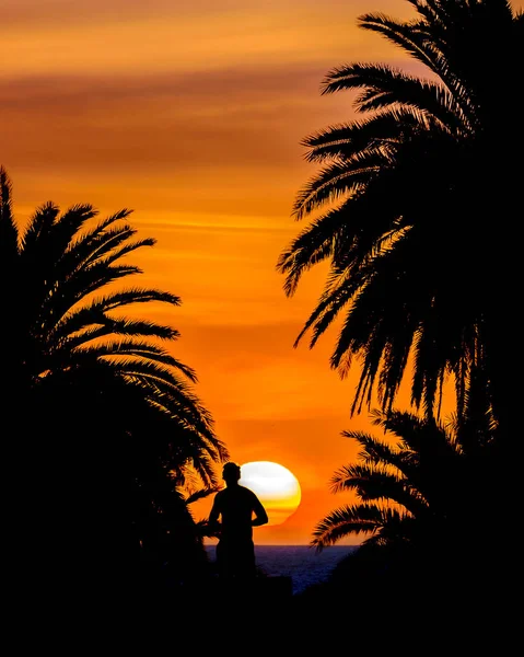 Bella Scena Del Tramonto Costiero Silhouette Montevideo Città Uruguay — Foto Stock