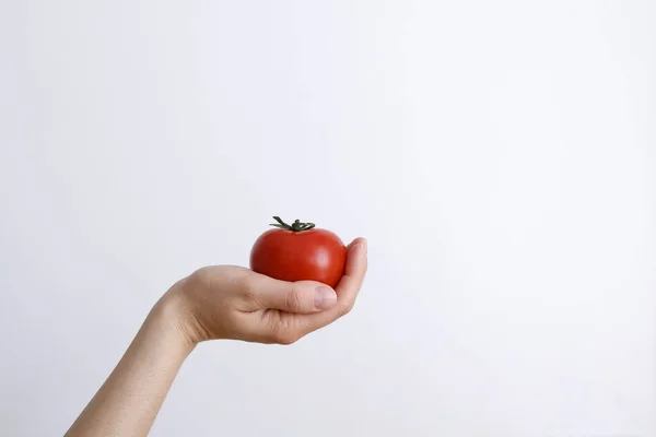 Beyaz bir arka planda domatesli kadın eli gündüz vakti