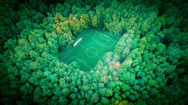 Mescherskiy Park futbol sahası