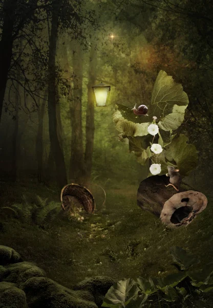 Forest Fairy Tale — Stockfoto
