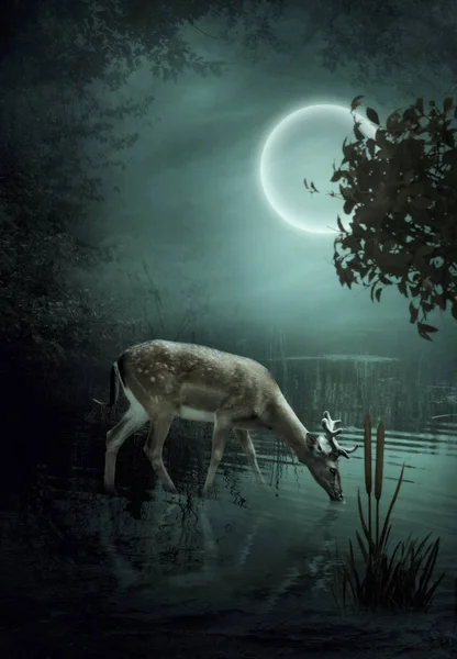 The forest deer in the moonlight — Stock Photo, Image