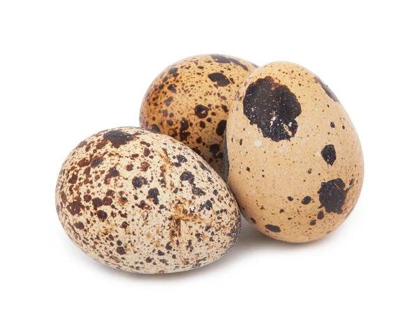 Ovos de codorna isolados — Fotografia de Stock