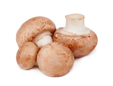 İzole kahverengi mantar