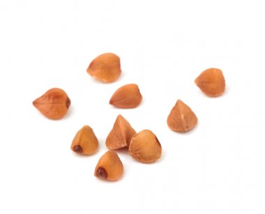 İzole buğday taneleri