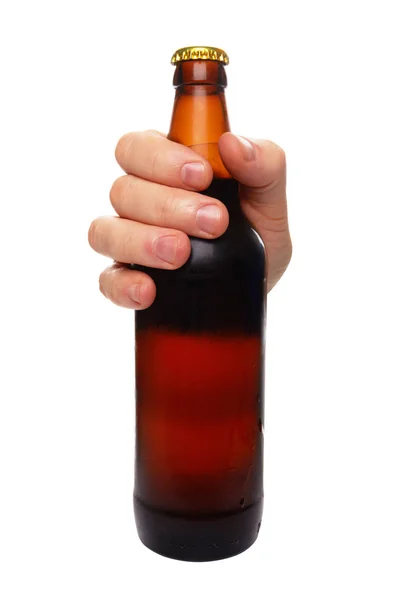 Beer on white — Stock Photo, Image