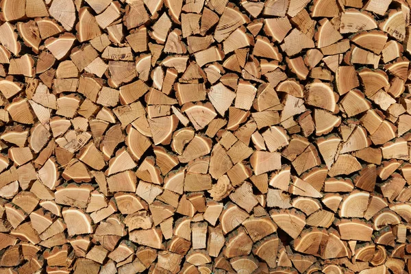 乾燥薪の背景 — ストック写真