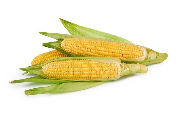 Рослинна свіжої кукурудзи — стокове фото