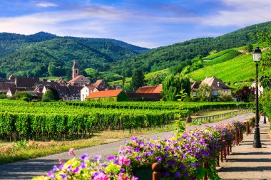 Alsace bölgesi-ünlü köyleri 